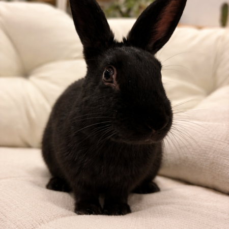 147B9BE9-0A51-47FC-B710-5B15360C3F65