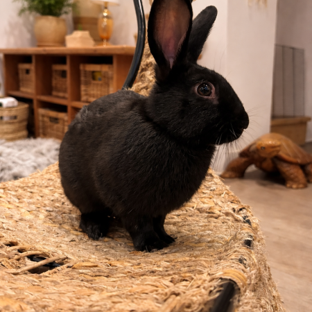 5141856F-A4BA-4D4D-AB54-A2AB74A6E890