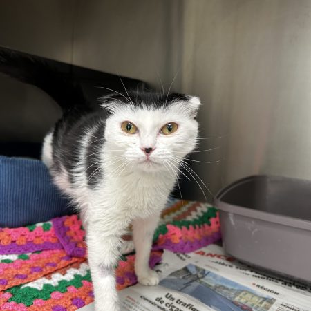 5B23F17B-541D-4BDE-8D9E-19AE1F879E50