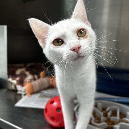 9701F3A1-FC03-48CD-92F7-B863CB65371A