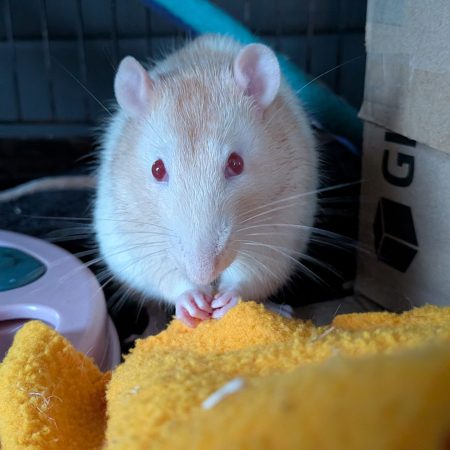 PXL_20260406_180441424