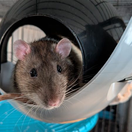 PXL_20260406_180640421