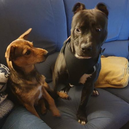 Rocky et Pain d'épice