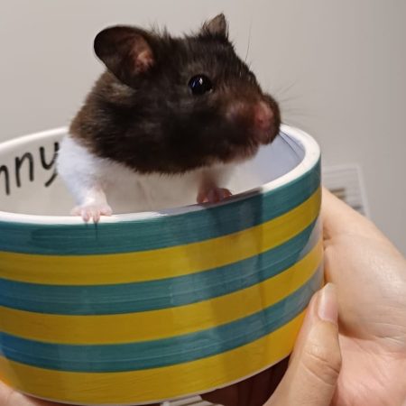 WhatsApp Image 2025-10-25 at 14.07.30