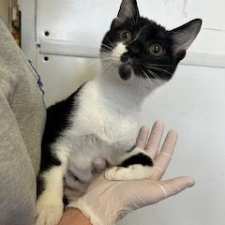 a0047ae3-322e-4b1a-97d0-6a20a0e087f4