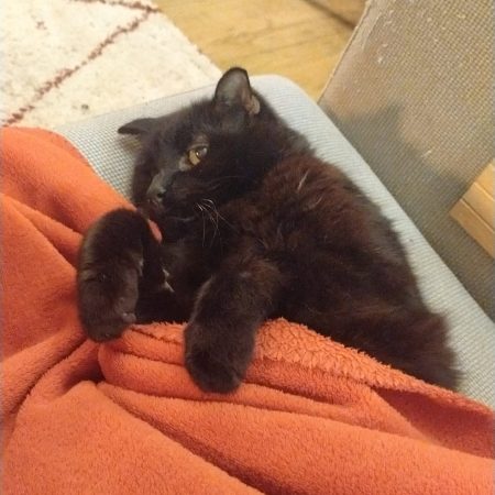 Ck4KTFNuYXBjaGF0LzEzLjc0LjAuMzIgKFYyMDIzOyBBbmRyb2lkIDEyI2NvbXBpbGVyMTIxMjEwMTUjMzE7IGd6aXApIFYvTVVTSFJPT00=