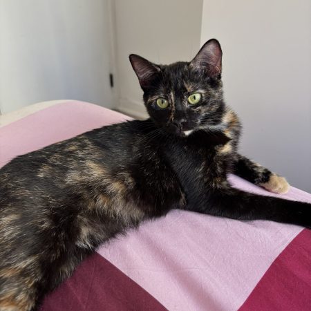 gisèle
