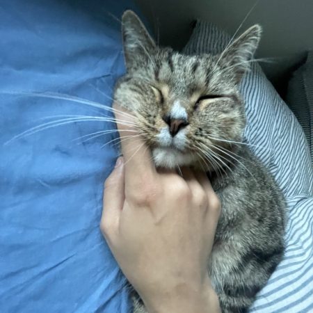 kiffer 1