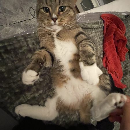 kiffer 4