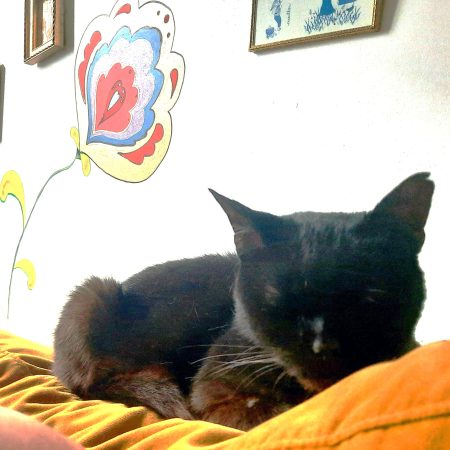 mishka 2